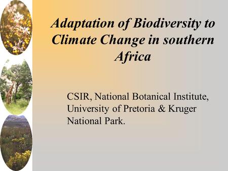 Adaptation of Biodiversity to Climate Change in southern Africa CSIR, National Botanical Institute, University of Pretoria & Kruger National Park.