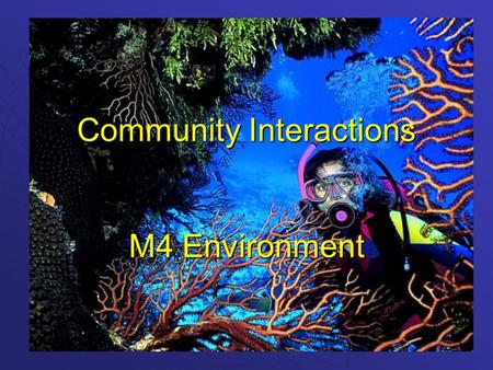 Community Interactions M4 Environment