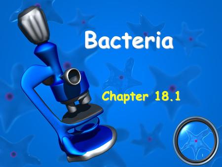 Bacteria Chapter 18.1 1. Three Domains of Life Bacteria - Cyanobacteria and eubacteria Bacteria - Cyanobacteria and eubacteria Archaea – prokaryotes living.