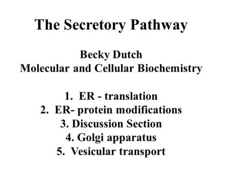 The Secretory Pathway Becky Dutch Molecular and Cellular Biochemistry 1. ER - translation 2. ER- protein modifications 3. Discussion Section 4. Golgi apparatus.