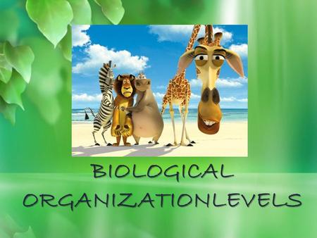 BIOLOGICAL ORGANIZATIONLEVELS. Species  Species is the technical name given for a kind of organisms for example all people are considered to be one species.