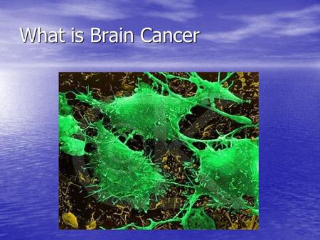 What is Brain Cancer. Primary Brain tumors A tumor within the brain that has forms in its original place. A tumor within the brain that has forms in its.