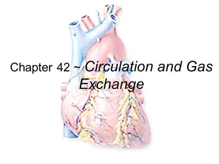 Chapter 42 ~ Circulation and Gas Exchange Exchange of materials Animal cells exchange material across their cell membrane –fuels for energy –nutrients.