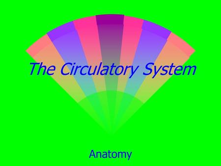 The Circulatory System Anatomy. The Heart w The Pump w As it beats, it forces blood through one- way valves to the entire body.