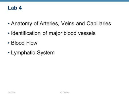 Anatomy of Arteries, Veins and Capillaries