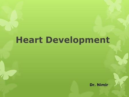 Heart Development Dr. Nimir.