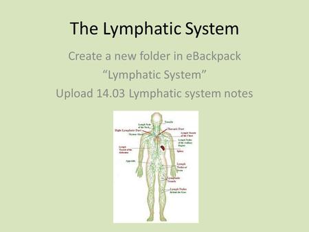 The Lymphatic System Create a new folder in eBackpack