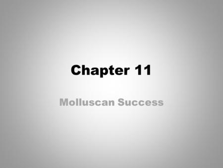 Chapter 11 Molluscan Success.