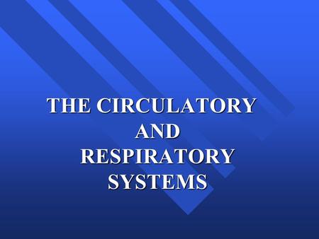 THE CIRCULATORY AND RESPIRATORY SYSTEMS