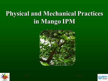 Physical and Mechanical Practices in Mango IPM