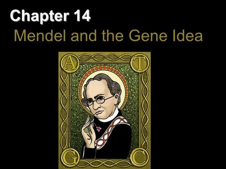 Chapter 14 Mendel and the Gene Idea. Overview: Drawing from the Deck of Genes What genetic principles account for the passing of traits from parents to.