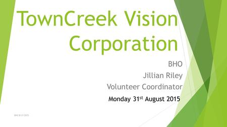 TownCreek Vision Corporation BHO Jillian Riley Volunteer Coordinator Monday 31 st August 2015 BHO 8/31/2015.
