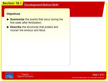 Section 19.1 Development Before Birth Objectives