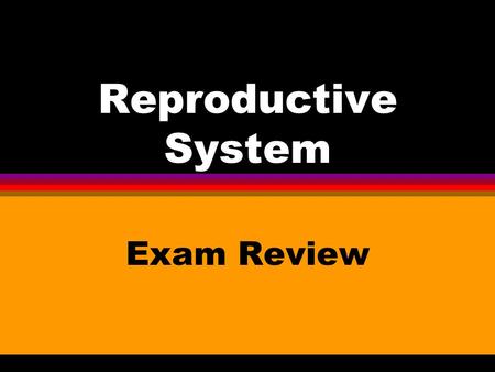 Reproductive System Exam Review Number 1 l The female reproductive cell is the _____ ______.