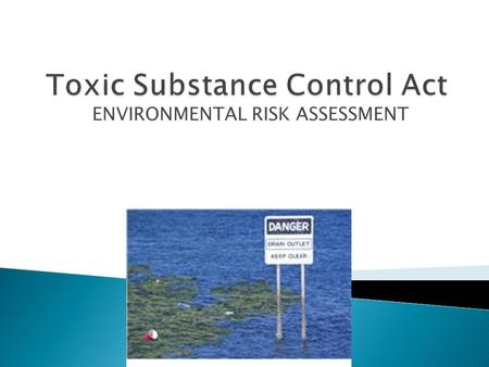 ENVIRONMENTAL RISK ASSESSMENT.  History of the Act ◦ The primary purpose of TSCA is to regulate chemical substances and mixtures  It does so by regulating.