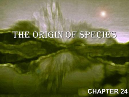 The Origin Of Species CHAPTER 24.