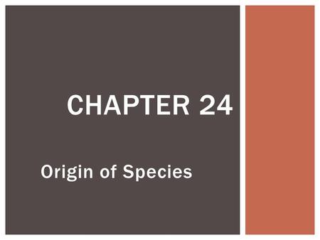 Origin of Species CHAPTER 24.  Speciation, the origin of new species, is at the focal point of evolutionary theory  Microevolution consists of changes.