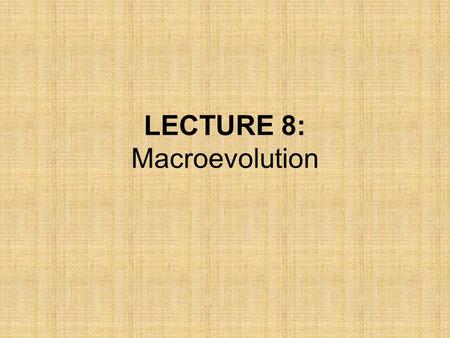LECTURE 8: Macroevolution. What is microevolution? –Evolution on a small scale –Change in allele frequencies from one generation to the next –A process.