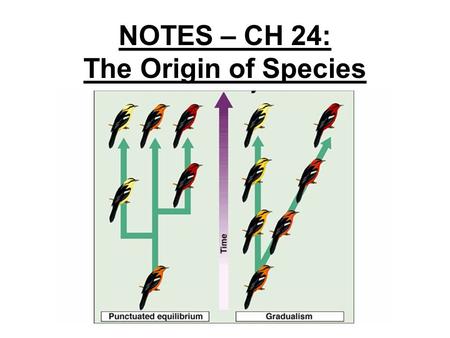 NOTES – CH 24: The Origin of Species