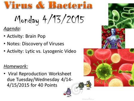 Monday 4/13/2015 Virus & Bacteria Agenda: Activity: Brain Pop
