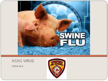 H1N1 VIRUS SWINE FLU. What is the H1N1 Virus? It is a new virus that is spread from person to person first detected in people in the United States in.
