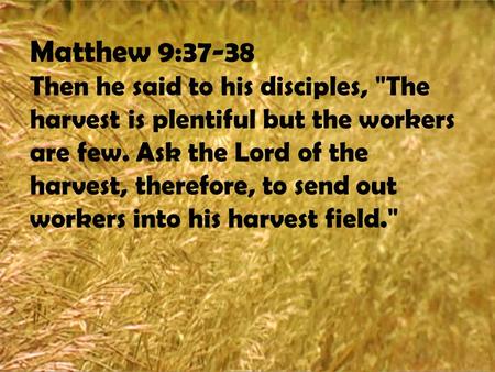 Matthew 9:37-38 Then he said to his disciples, The harvest is plentiful but the workers are few. Ask the Lord of the harvest, therefore, to send out workers.