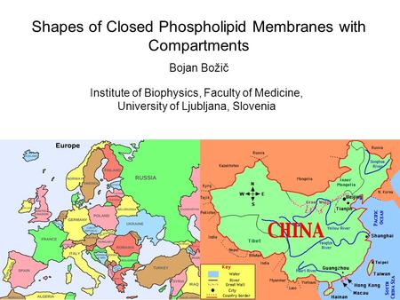 Shapes of Closed Phospholipid Membranes with Compartments Bojan Božič Institute of Biophysics, Faculty of Medicine, University of Ljubljana, Slovenia.
