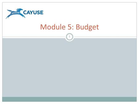 1 Module 5: Budget. Objectives 2 Welcome to the Cayuse424 Budget module. In this module you will learn: – Cayuse424 Basic Budget Concepts – How to use.