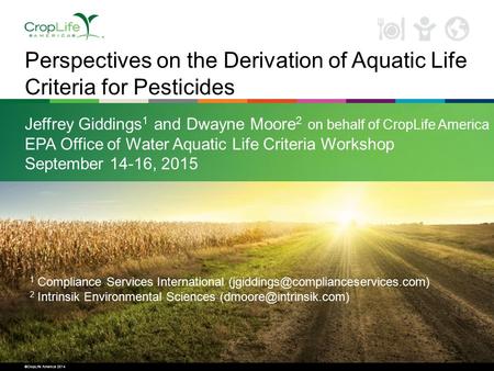 ©CropLife America 2014 Perspectives on the Derivation of Aquatic Life Criteria for Pesticides Jeffrey Giddings 1 and Dwayne Moore 2 on behalf of CropLife.