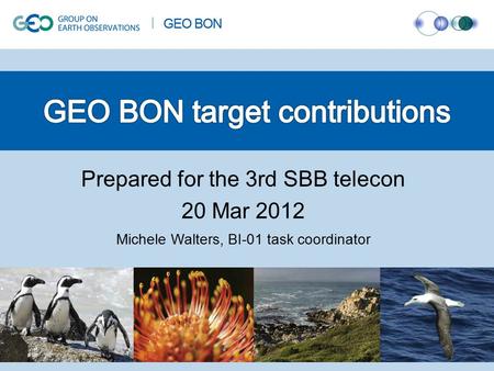 Prepared for the 3rd SBB telecon 20 Mar 2012 Michele Walters, BI-01 task coordinator.