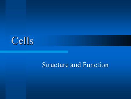 Cells Structure and Function Section 1: Introduction to the Cell.