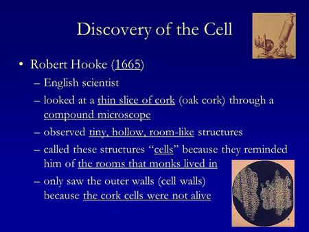Discovery of the Cell Robert Hooke (1665) English scientist