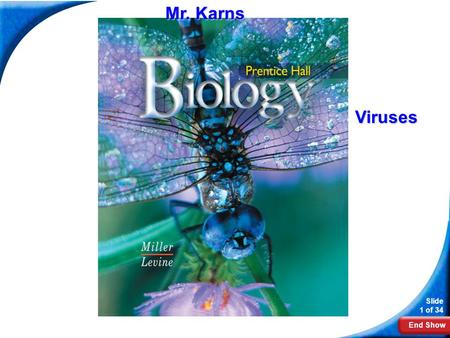 Mr. Karns Biology Viruses.