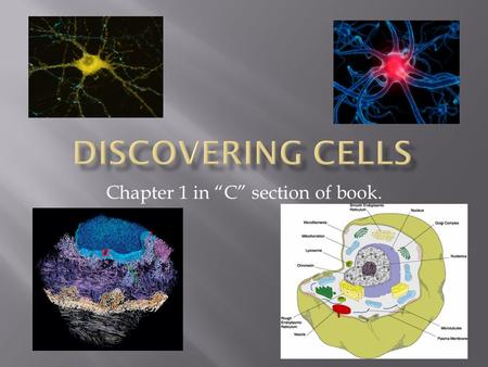 Chapter 1 in “C” section of book..  Our living structure is determined by the amazing variety of ways in which cells are put together.