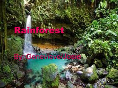 Rainforest By: Genevieve/ Josie. Location  Rainforest are all over the world.  A Rainforest is sometimes by the oceans and sometimes they are not. 