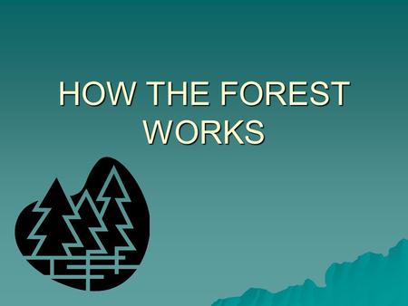HOW THE FOREST WORKS.  The rainforests contain 50% of all the plant and animal species in the world.  The Amazon rainforest is 30 times the size of.