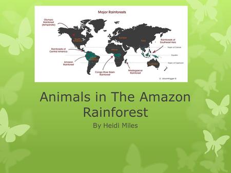 Animals in The Amazon Rainforest By Heidi Miles. Lesson Plan for Grades 3-5  This lesson provides students with an opportunity to learn about the behaviors.
