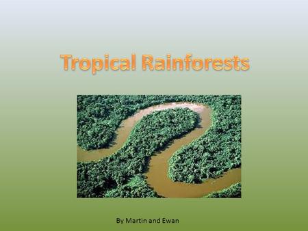 By Martin and Ewan. A Rainforest is a wet, hot, humid forest. They are found near to the equator.