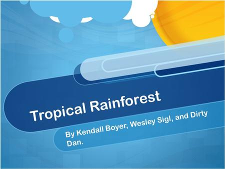 Tropical Rainforest By Kendall Boyer, Wesley Sigl, and Dirty Dan.