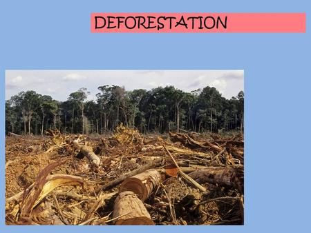 DEFORESTATION.