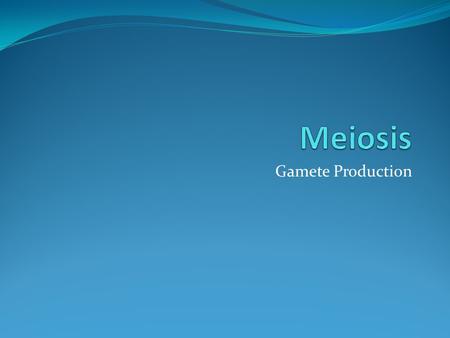 Meiosis Gamete Production.