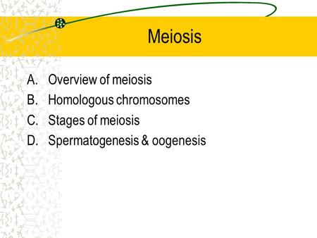Meiosis A.Overview of meiosis B.Homologous chromosomes C.Stages of meiosis D.Spermatogenesis & oogenesis.