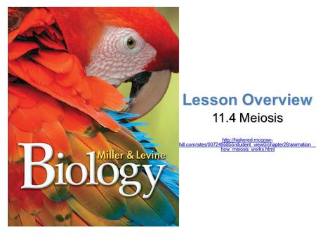 Lesson Overview 11.4 Meiosis