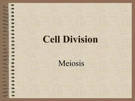 Cell Division Meiosis.