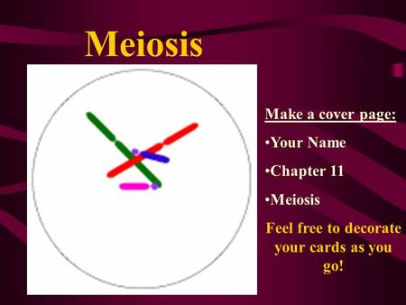 Meiosis Make a cover page: Your Name Chapter 11 Meiosis Feel free to decorate your cards as you go!