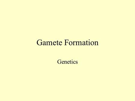 Gamete Formation Genetics.