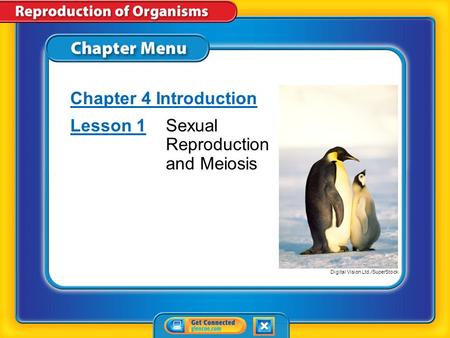 Lesson 1 Sexual Reproduction and Meiosis