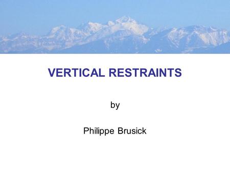 VERTICAL RESTRAINTS by Philippe Brusick. PRODUCTION-DISTRIBUTION CHAIN Firm A Suppliers Manufacturer A Wholesalers Retailers Firm B Suppliers Manufacturer.