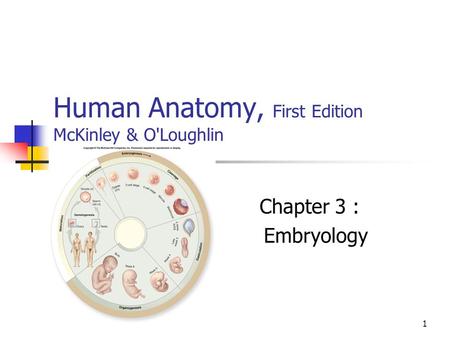 1 Human Anatomy, First Edition McKinley & O'Loughlin Chapter 3 : Embryology.