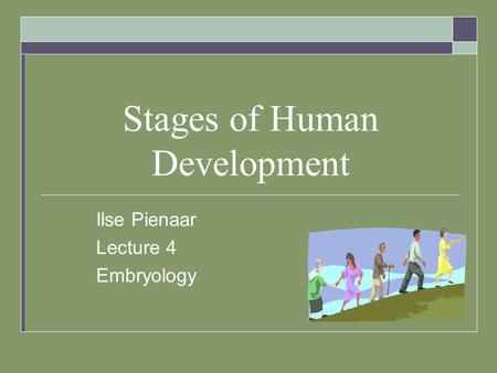 Stages of Human Development Ilse Pienaar Lecture 4 Embryology.